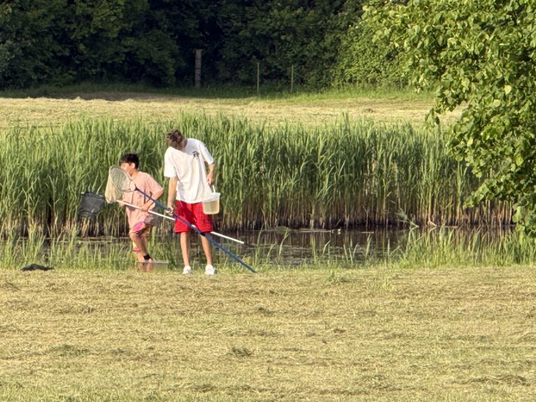 img 7515