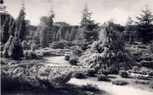 Forevisningshaven, 1947
